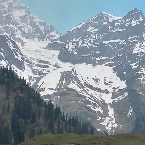 Sheetal Tour And Travel